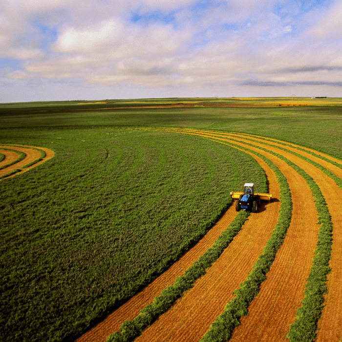 Farming Field