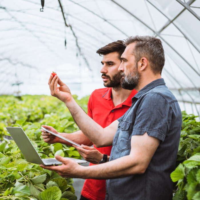 Greenhouse owner examining flowers and using laptop and touchpad at work.